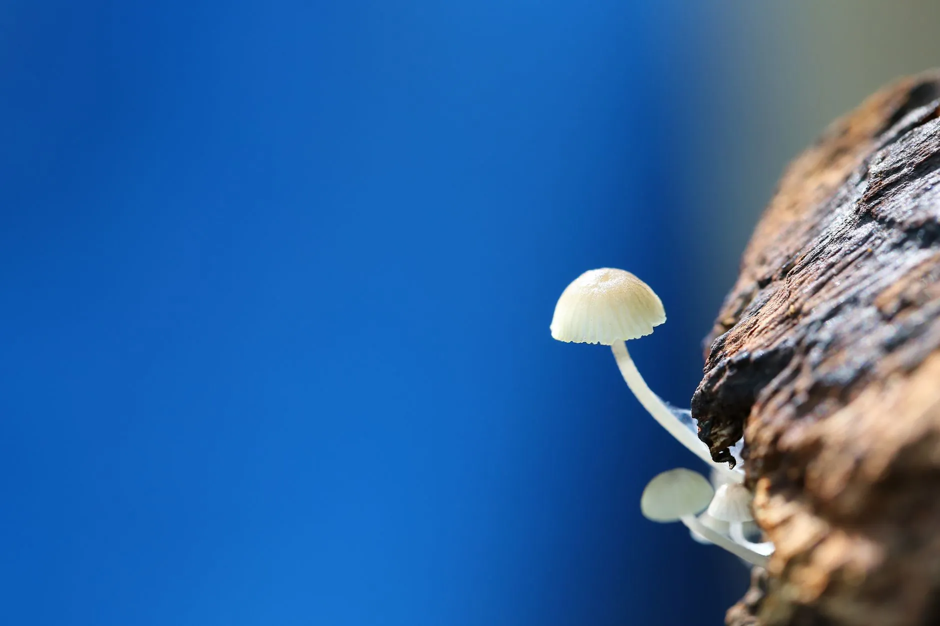 监控摄像头夜间成像质量的关键技术指标解析