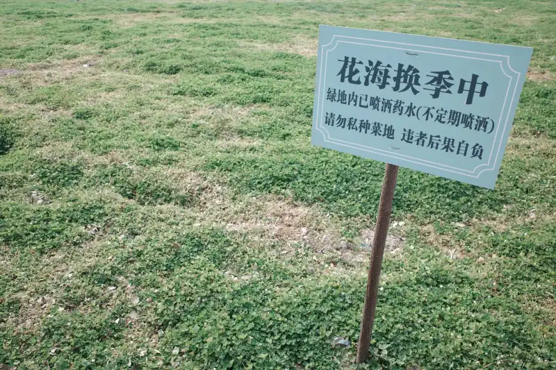 湖北商铺安防监控系统选型与硬盘录像机配置要点