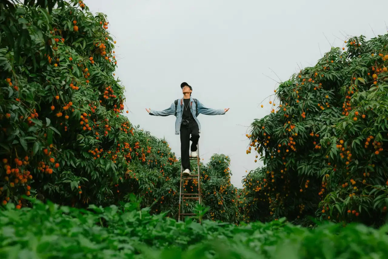 湖北霆振服科技监控摄像头与硬盘录像机产品参数对比分析