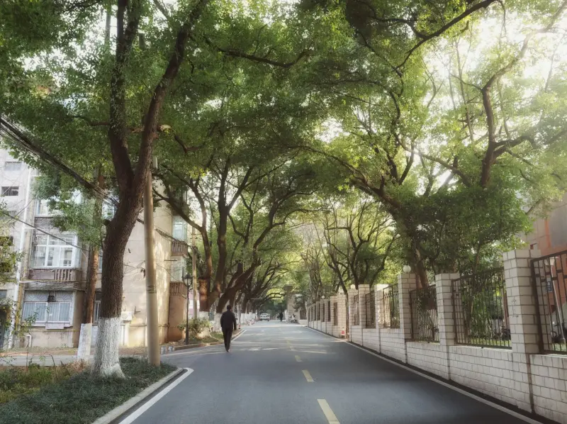 霆振服科技2024新款硬盘录像机存储架构与散热设计解析