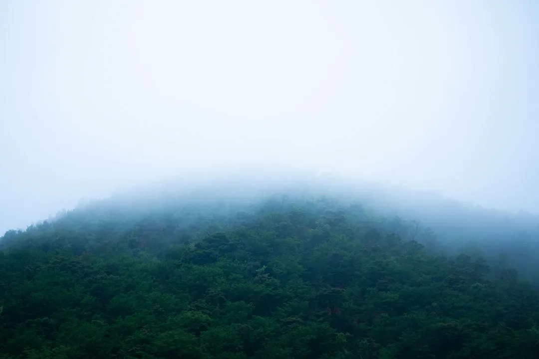 安防监控系统硬盘录像机选型要点与存储方案设计指南