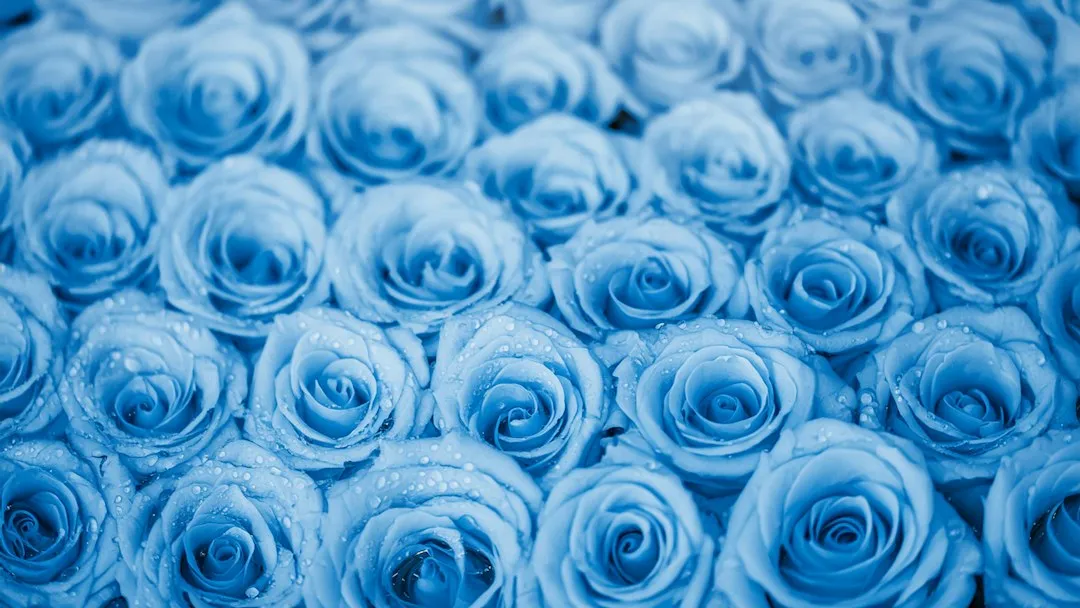 安防监控系统故障排除指南：监控摄像头与录像机常见问题